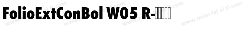 FolioExtConBol W05 R字体转换
